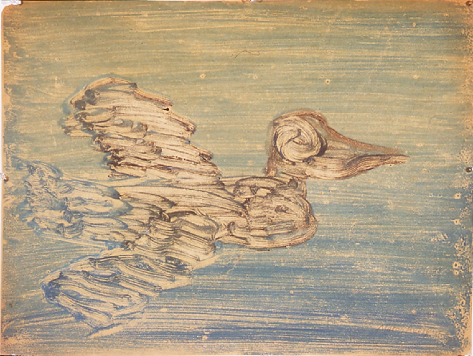 Pelican