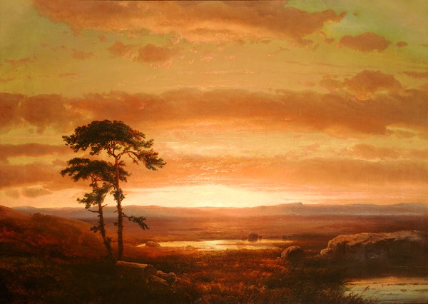 Marsh Landscape