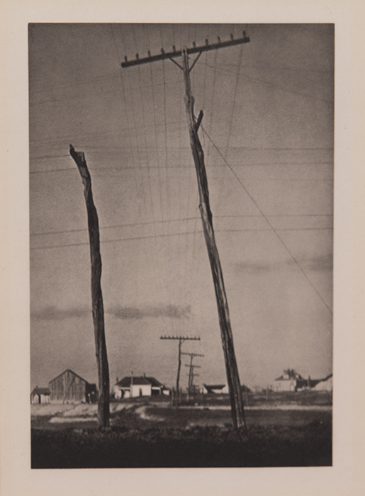 Telegraph Poles